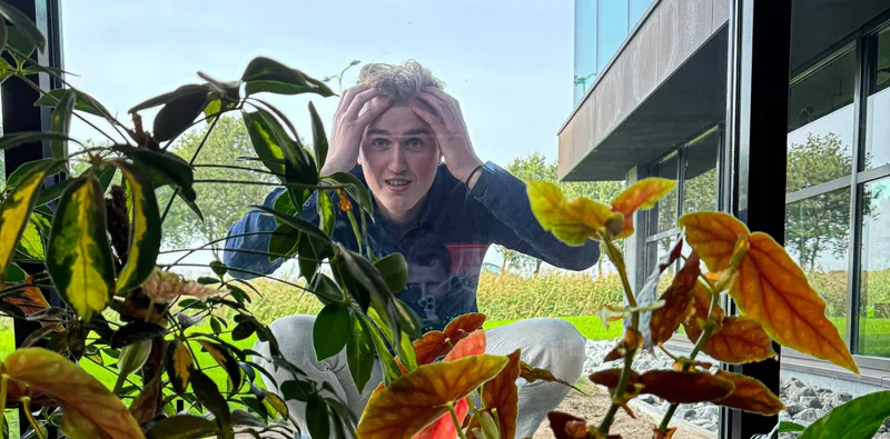 sofie-impressie